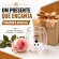 Copo Urso Vidro Duplo 250ml Café Chá Leite Parede Dupla